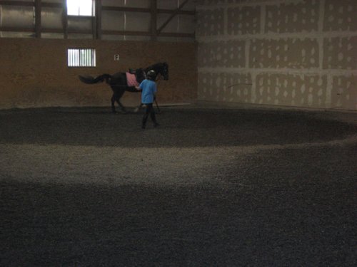 Property photo 64 - 80 Acres Offered in 4 Tracts - Horse Farm